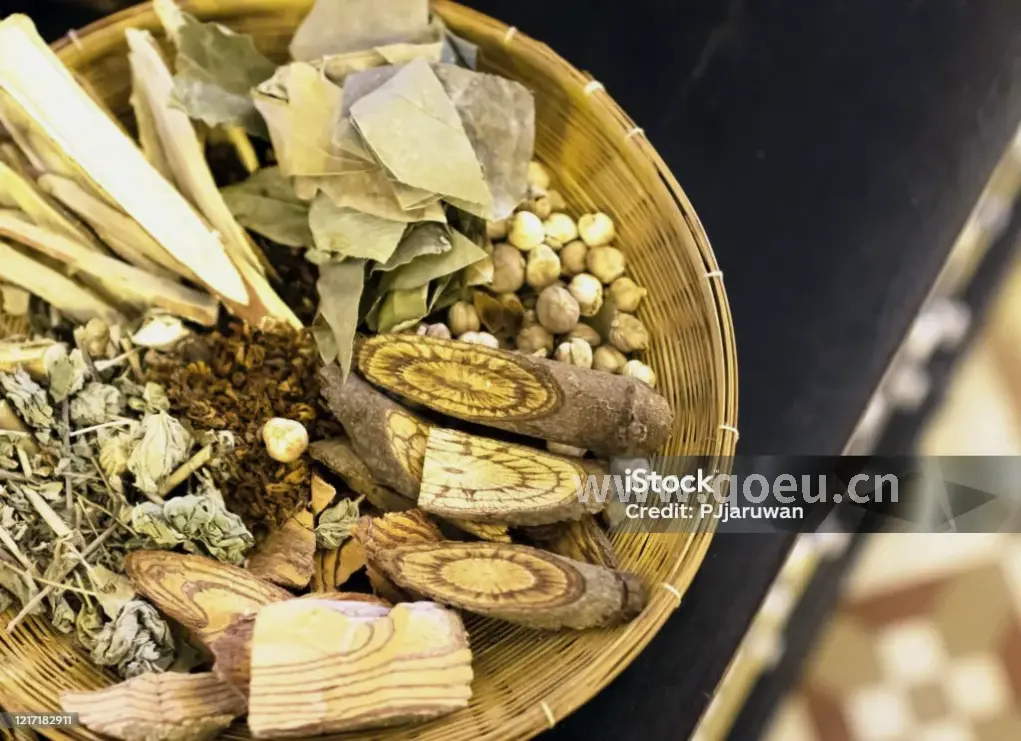 专业按摩教程