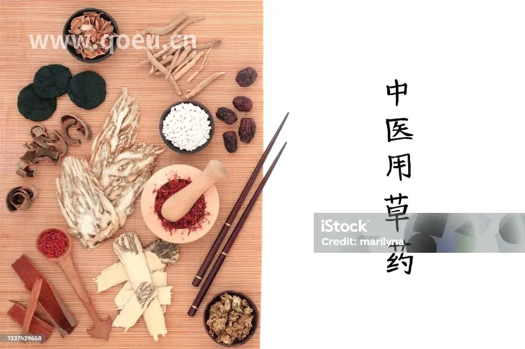 健康调理