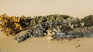 广州会所设施解析与腰椎病理康复拉伸全指南 缩略图